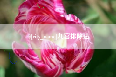 晋城九宫排除法