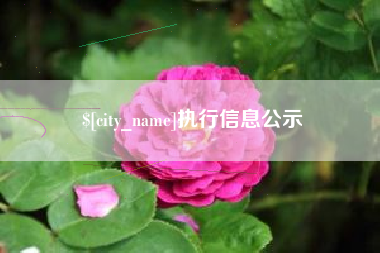 晋城执行信息公示