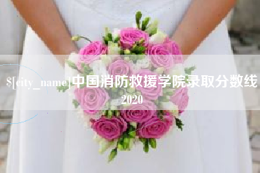 晋城中国消防救援学院录取分数线2020