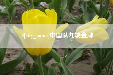 晋城中国队九块金牌