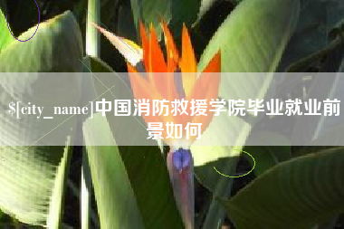 晋城中国消防救援学院毕业就业前景如何