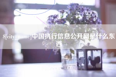 晋城中国执行信息公开网是什么东西