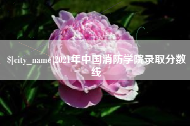 晋城2021年中国消防学院录取分数线