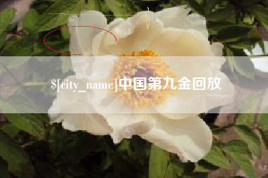 晋城中国第九金回放