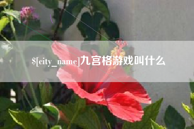 晋城九宫格游戏叫什么