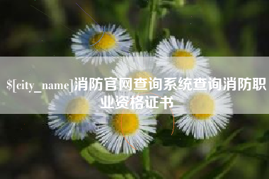 晋城消防官网查询系统查询消防职业资格证书