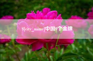 晋城中国9个金牌