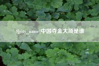 晋城中国夺金大项是谁