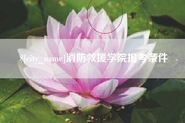 晋城消防救援学院报考条件