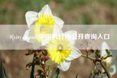 晋城中国执行网公开查询入口