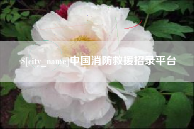 晋城中国消防救援招录平台