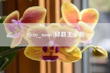 晋城邱县王子磊