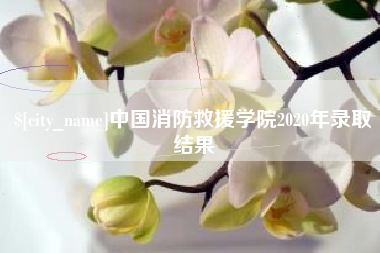 晋城中国消防救援学院2020年录取结果