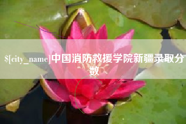 晋城中国消防救援学院新疆录取分数