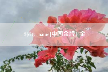 晋城中国金牌18金