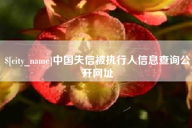 晋城中国失信被执行人信息查询公开网址