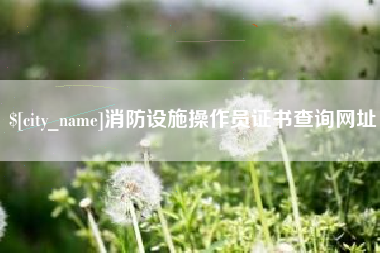 晋城消防设施操作员证书查询网址