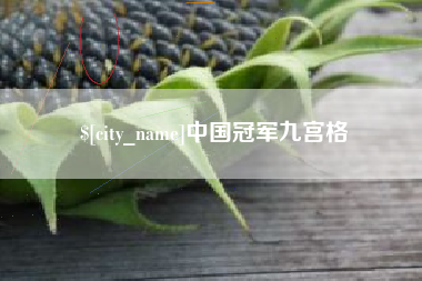 晋城中国冠军九宫格