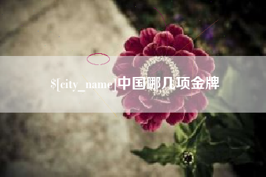 晋城中国哪几项金牌