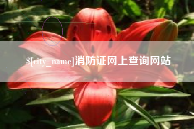 晋城消防证网上查询网站