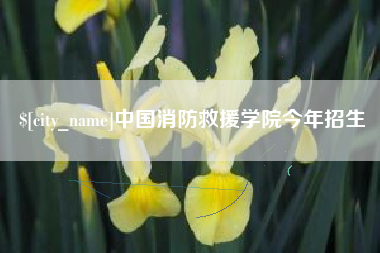 晋城中国消防救援学院今年招生
