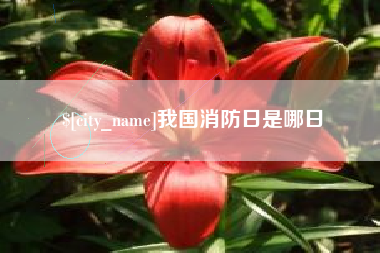 晋城我国消防日是哪日