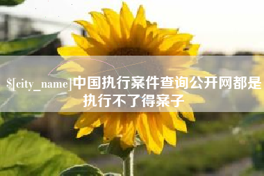 晋城中国执行案件查询公开网都是执行不了得案子