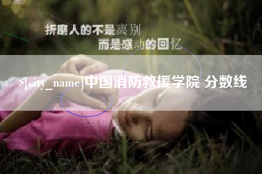 晋城中国消防救援学院 分数线