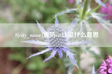 晋城消防ccc认证什么意思