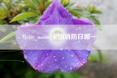晋城全国消防日哪一
