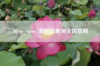 晋城消防证查询全国联网