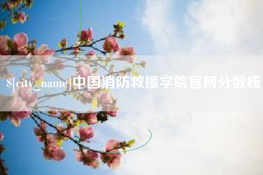 晋城中国消防救援学院官网分数线