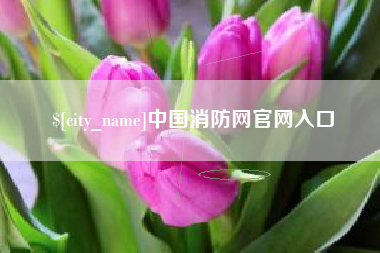 晋城中国消防网官网入口