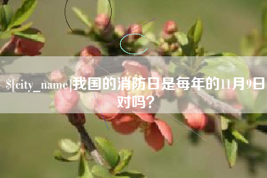 晋城我国的消防日是每年的11月9日对吗？