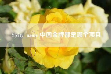 晋城中国金牌都是哪个项目
