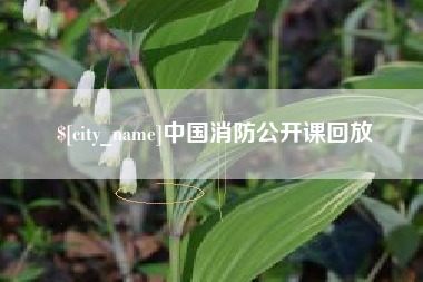 晋城中国消防公开课回放