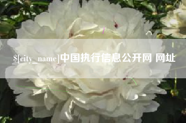 晋城中国执行信息公开网 网址