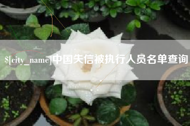 晋城中国失信被执行人员名单查询
