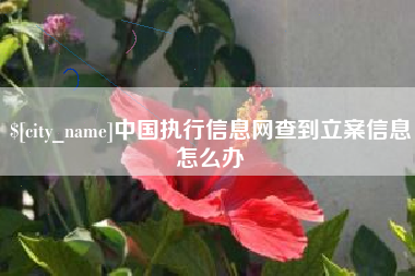 晋城中国执行信息网查到立案信息怎么办