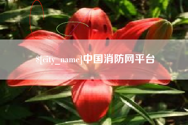 晋城中国消防网平台