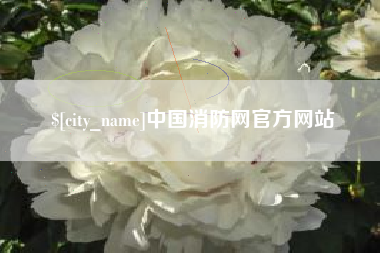 晋城中国消防网官方网站