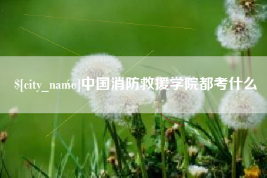 晋城中国消防救援学院都考什么