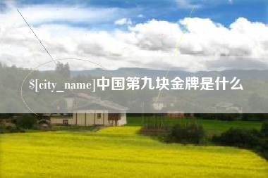 晋城中国第九块金牌是什么