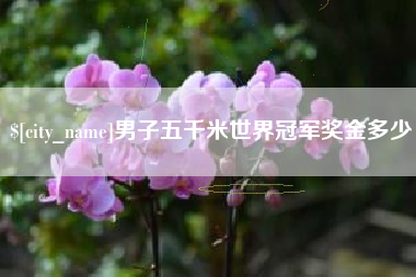 晋城男子五千米世界冠军奖金多少