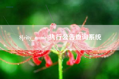 晋城执行公告查询系统