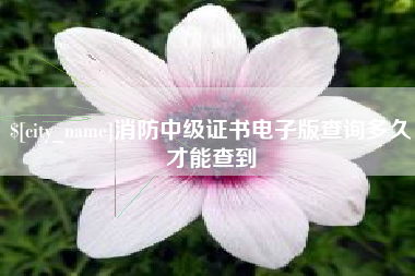晋城消防中级证书电子版查询多久才能查到