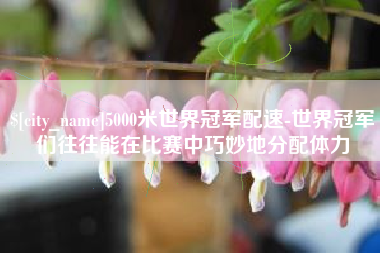 晋城5000米世界冠军配速-世界冠军们往往能在比赛中巧妙地分配体力