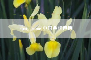 晋城中国金牌包括
