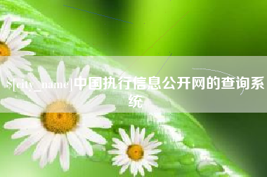 晋城中国执行信息公开网的查询系统