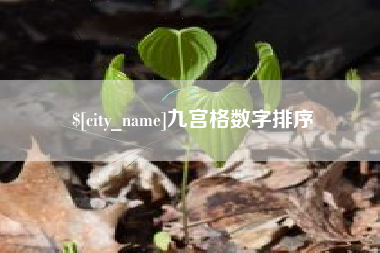 晋城九宫格数字排序